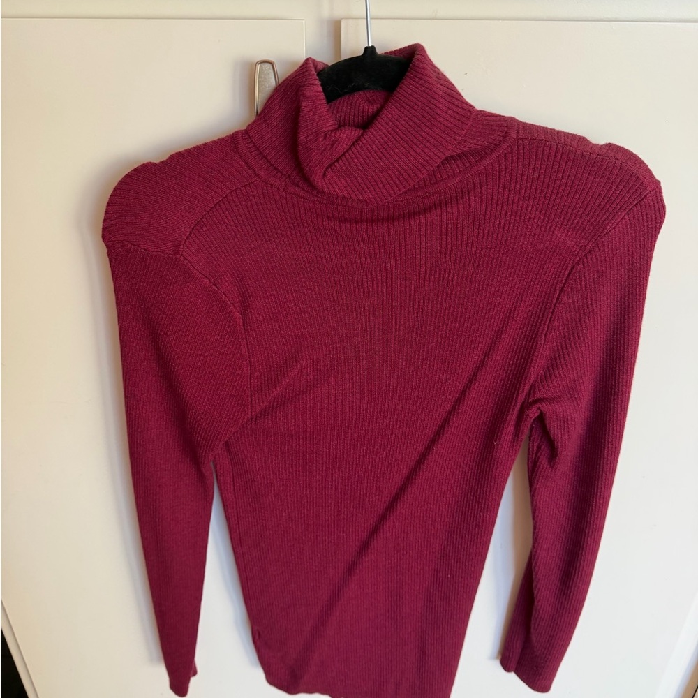 Express Rich Red Cowl Neck Sweater